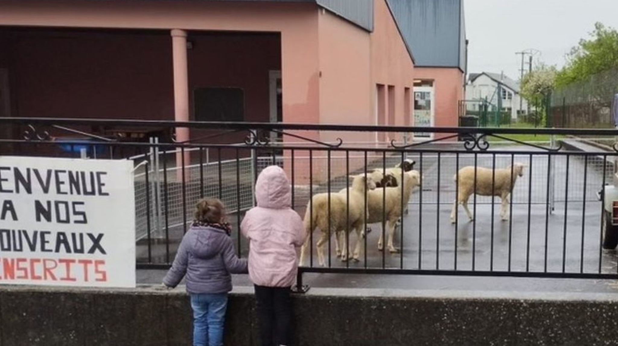 4 dele regjistrohen në shkollë për të shmangur mbylljen e klasës!