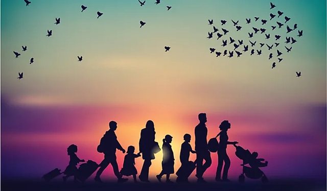 44% e shqiptarëve duan të emigrojnë në vitin 2025, niveli më i lartë në rajon