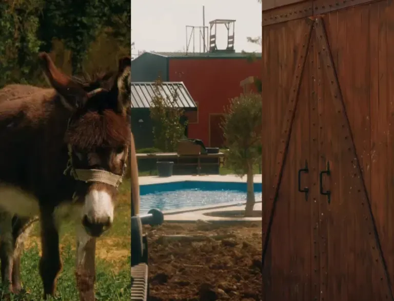 Zbulohet kryeplaku i Ferma VIP 3 dhe nuk e prisnim aspak…